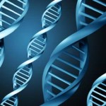 SigNature T DNA System